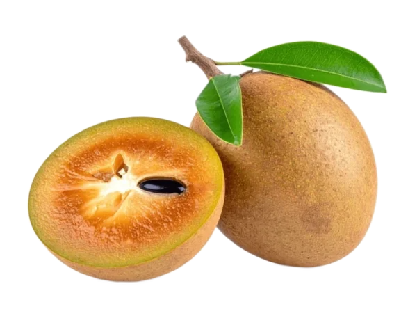 Sapodilla / Chikoo चीकू