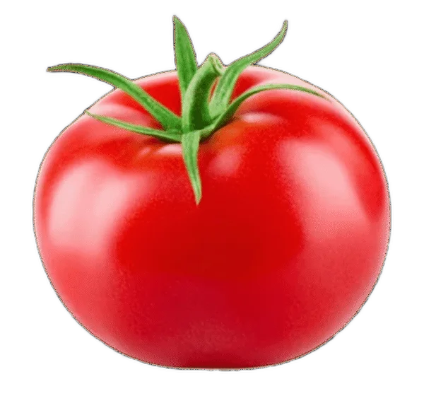 टमाटर Tomato