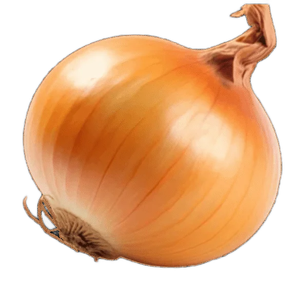 कांदा Onion