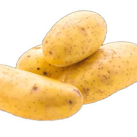 बटाटा /आलू Potato