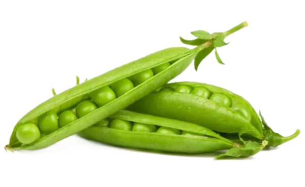 Peas/वाटाणा