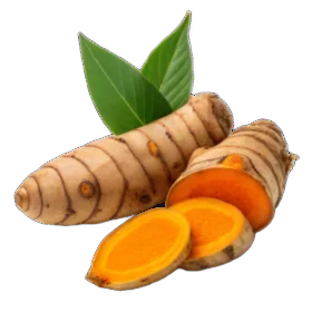 Turmeric हल्दी