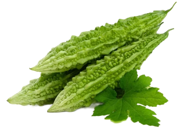 करेला Bitter Gourd