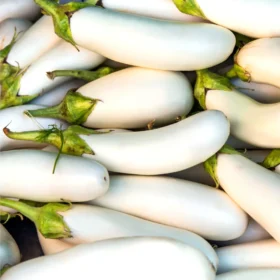 White Eggplant सफ़ेद बैगन