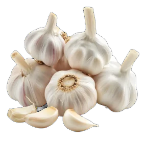 लहसुन Garlic