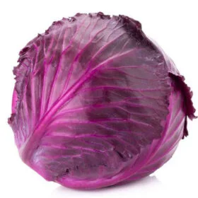 Red cabbage लाल पत्तागोभी