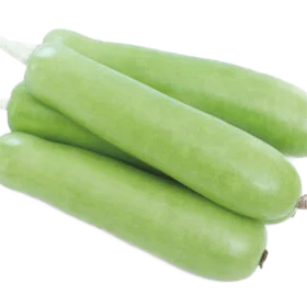 लौकी Bottle Gourd