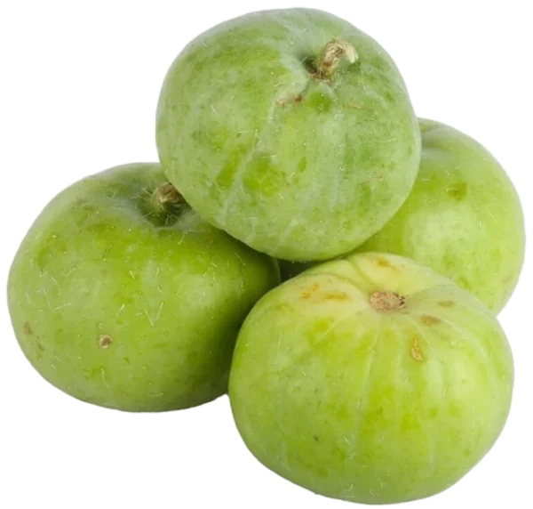 Apple Gourd टिंडा