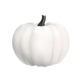 White Pumpkin पांढरा भोपळा