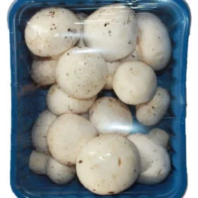 Mushroom मशरूम